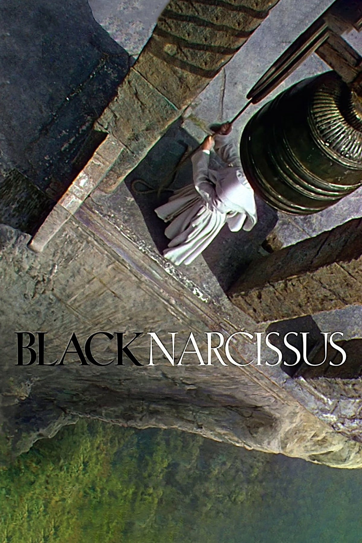 Black Narcissus - Black Narcissus
